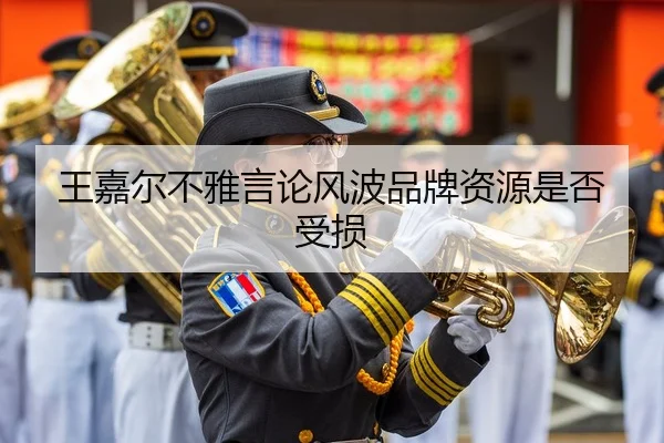 王嘉尔不雅言论风波品牌资源是否受损