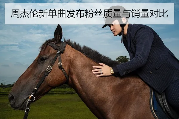 周杰伦新单曲发布粉丝质量与销量对比